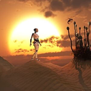 An android harvesting a rare plant on a desert alien world