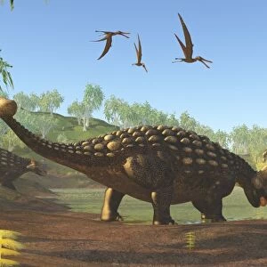 Ankylosaurus dinosaurs drink from a swamp along with an Argentinosaurus