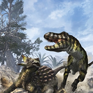 Ankylosaurus hits Tyrannosaurus rex with its clubbed tail in self-defense