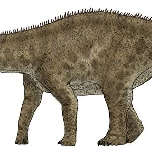 Apatosaurus, a sauropod dinosaur also known as Brontosaurus