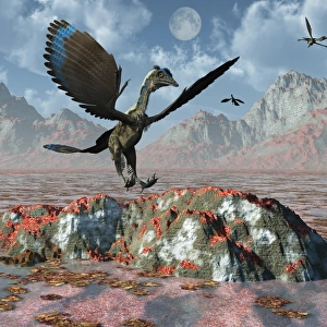 An Archaeopteryx landing on a rock during the Jurassic Period