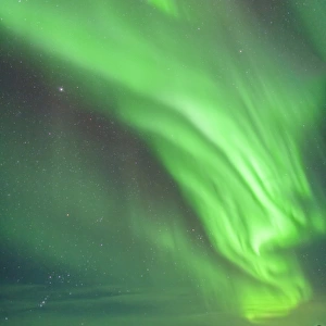 Aurora borealis with Taurus and Orion over Churchill, Manitoba, Canada