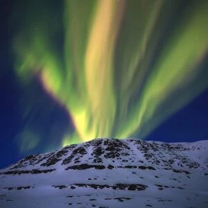 Aurora Borealis over Toviktinden Mountain in Troms County, Norway