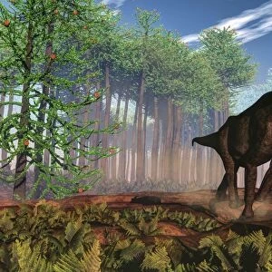 Brachiosaurus dinosaur amongst an Araucaria forest