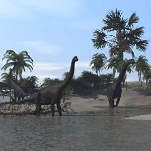 Three Brachiosaurus dinosaurs grazing