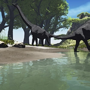 Brachiosaurus dinosaurs look for food along the banks of a stream