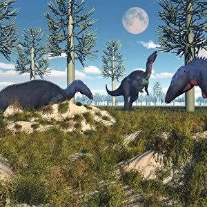 Camptosaurus nesting ground set during the Jurassic Period