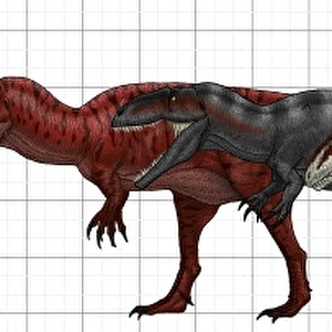 Carcharodontosauridae size chart