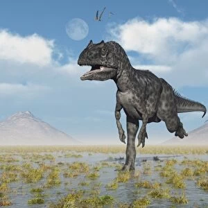 Carnivorous Allosaurus dinosaurs during Earths Jurassic period