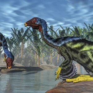 Two Caudipteryx dinosaurs drinking from a river