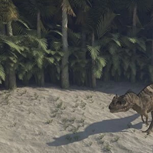 Ceratosaurus running across prehistoric landscape