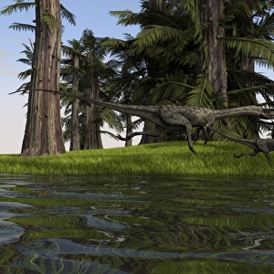Two Coelophysis dinosaurs running along the edge of swampy water
