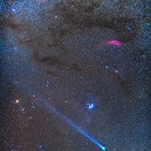 Comet Lovejoys long ion tail in Taurus