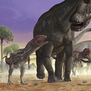 A couple of predator Mapusaurus try to isolate a herd of sauropods