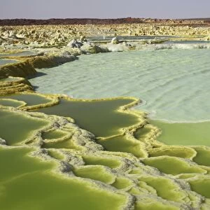 Dallol geothermal area, Danakil Depression, Ethiopia