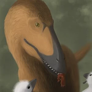 Deinonychus dinosaur feeding its young