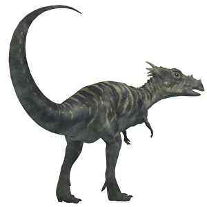 Dracorex dinosaur from the Cretaceous Period