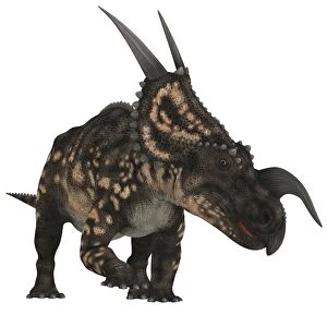 Einiosaurus dinosaur