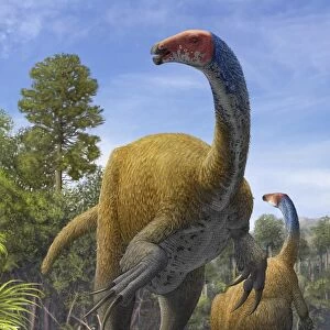 Erlikosaurus andrewsi dinosaurs in a prehistoric environment