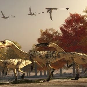 Three Eudimorphodons fly above a group of Coelophysis in an autumn forest