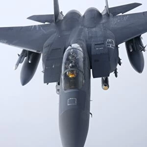 F-15E Strike Eagle of the US Air Force