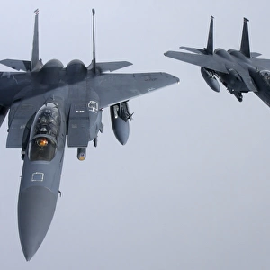 Two F-15E Strike Eagle of the U. S. Air Force