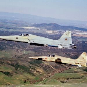 Two F-5E Tiger IIs in flight over California