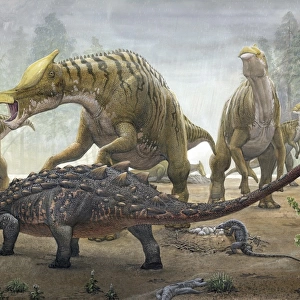 A female Saurolophus attempts to crush a Tarchia armored dinosaur
