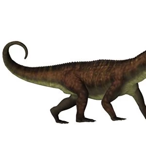 A fierce Prestosuchus dinosaur, side view
