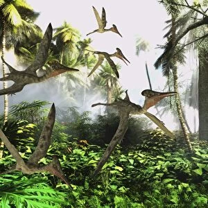 A flock of Pterodactylus reptiles fly over the jungle searching for their next meal