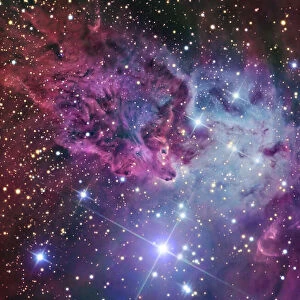 The Fox Fur Nebula