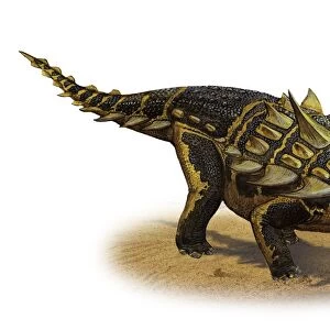 Gastonia burgei, a prehistoric era dinosaur