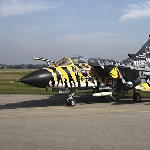 A German Air Force Tornado ECR with special paint scheme