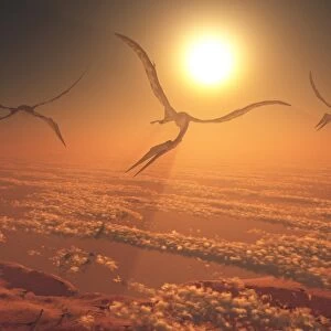 Giant Quetzalcoatlus pterosaurs flying above the clouds