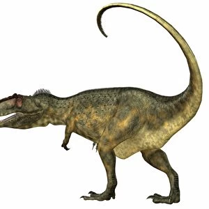 Giganotosaurus dinosaur, side view