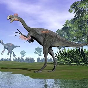 Two Gigantoraptor dinosaurs in a prehistoric environment