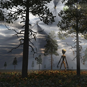 A Grey Alien researcher exploring woodlands