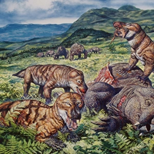 A group of carnivorous Cynognathus prey on a Placerias dicynodont