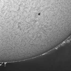 H-alpha Sun with solar prominences