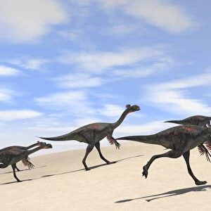 Herd of Gigantoraptors running across desert terrain