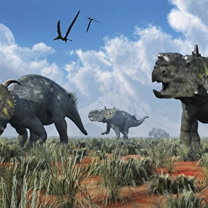 A herd of Pachyrhinosaurus dinosaurs