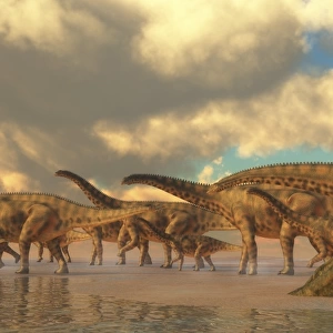 A herd of Spinosphorosaurus