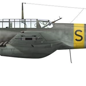 Illustration of a Messerschmitt Bf-110D of the German Air Force
