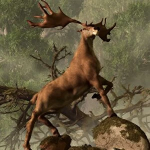 An Irish Elk stands proudly in a dense forest