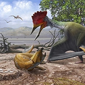A large Bakonydraco pterosaur attacking a nest of small Ajkaceratops