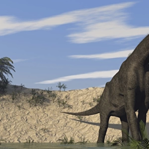 Large Brachiosaurus standing in water