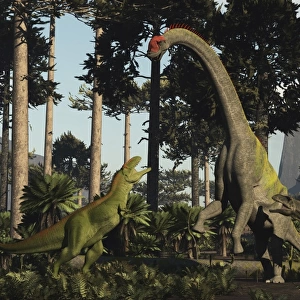 A large Chubutisaurus is a attacked by a pair of Tyrannotitans