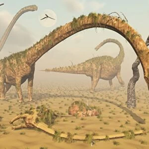 Living fossilized Omeisaurus sauropod dinosaurs
