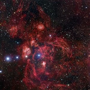 The Lobster Nebula in Scorpius