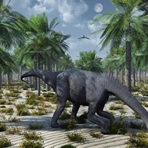 A lone Camarasaurus sauropod dinosaur grazing